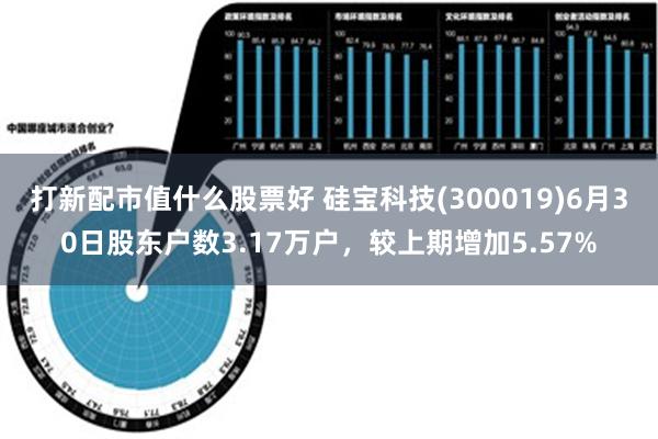 打新配市值什么股票好 硅宝科技(300019)6月30日股东户数3.17万户，较上期增加5.57%