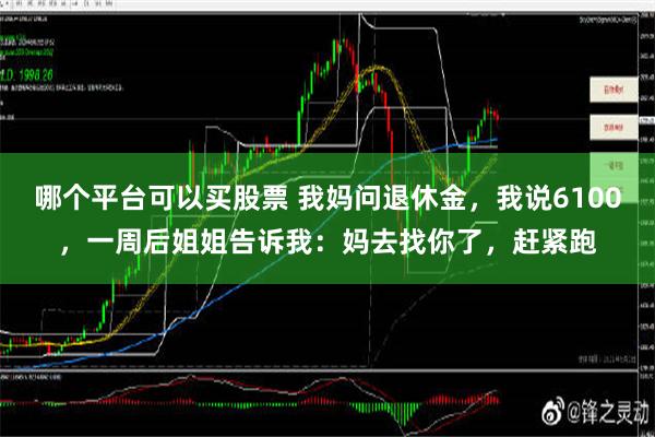 哪个平台可以买股票 我妈问退休金，我说6100，一周后姐姐告