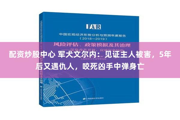 配资炒股中心 军犬文尔内：见证主人被害，5年后又遇仇人，咬死凶手中弹身亡