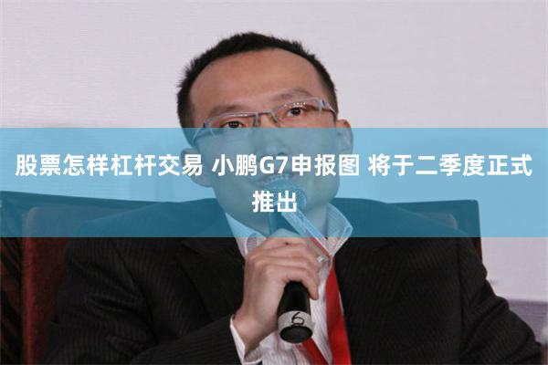 股票怎样杠杆交易 小鹏G7申报图 将于二季度正式推出